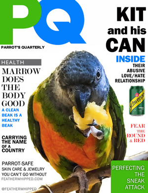 FeatherWhipped Magazine issue 1